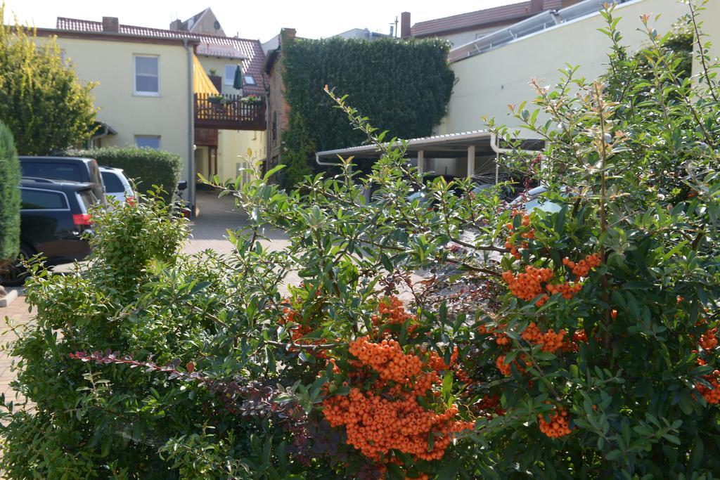 Hotel-Pension Mandy - Adults Only Senftenberg Eksteriør billede